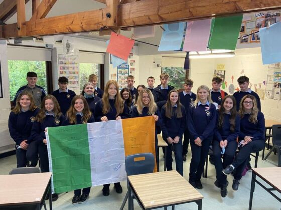 Erasmus+ en Irlanda para Colegios | Programas y Movilidades
